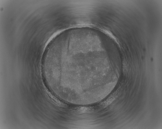 X0000067891412200605111839