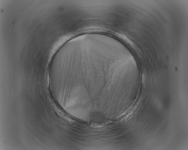 X0000067891413200605111839