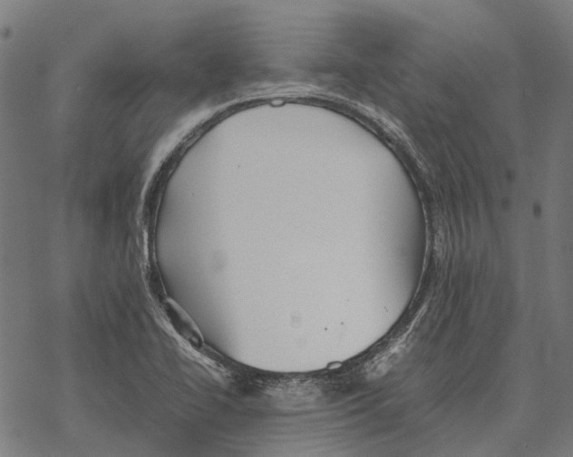 X0000067891414200605111839