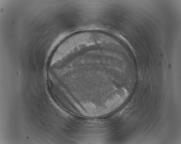 X0000067891416200605111839