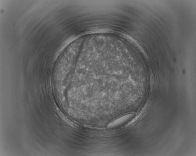 X0000067891417200605111839