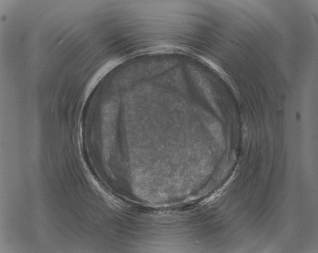 X0000067891418200605111839