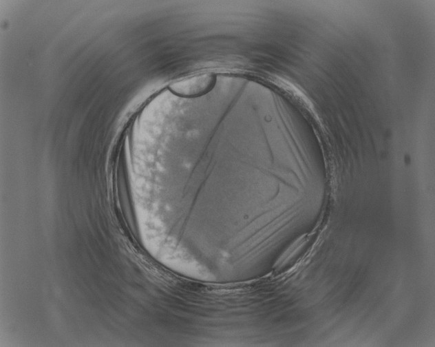 X0000067891419200605111839