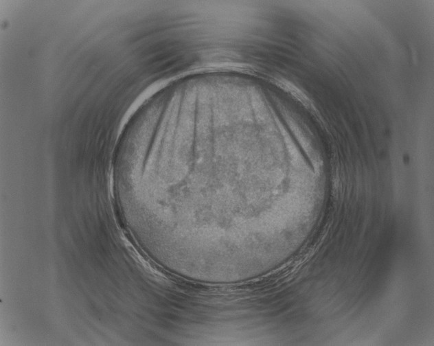 X0000067891420200605111839