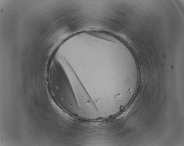 X0000067891422200605111839