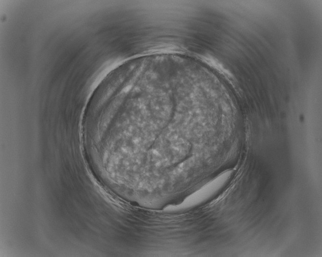 X0000067891423200605111839