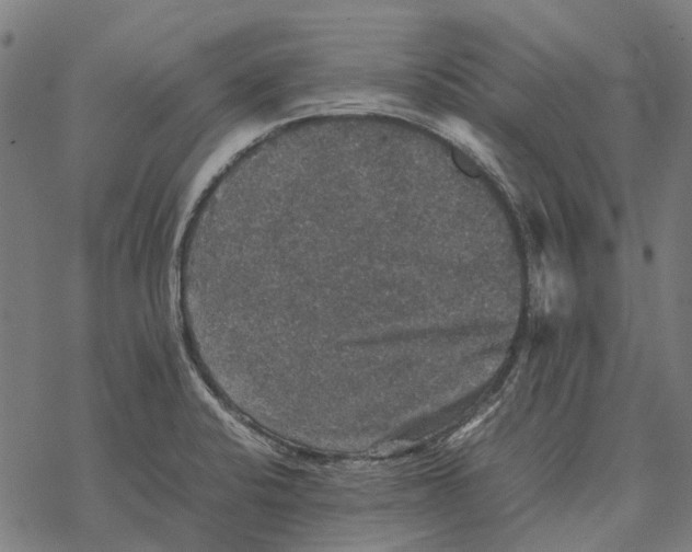 X0000067891424200605111839