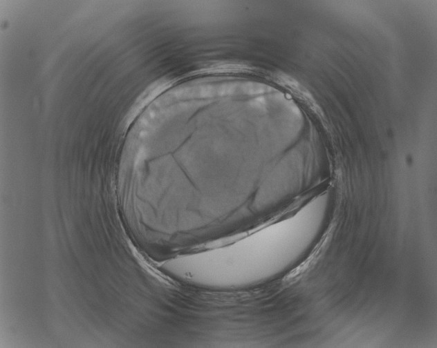 X0000067891425200605111839