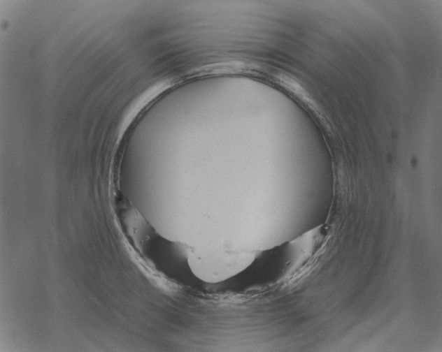 X0000067891426200605111839