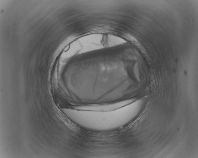 X0000067891427200605111839