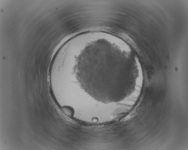 X0000067891428200605111839