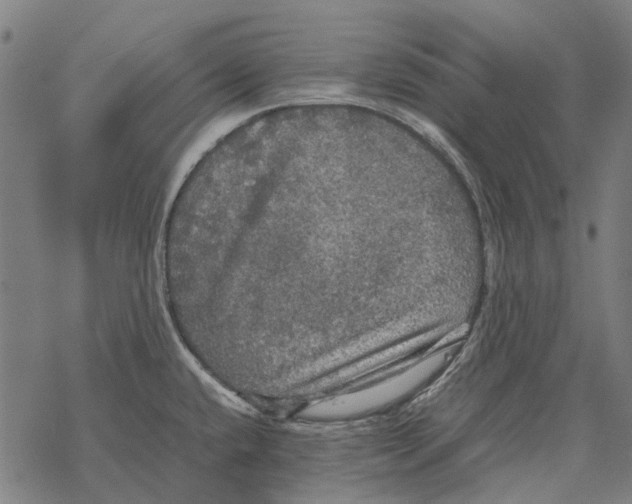 X0000067891432200605111839