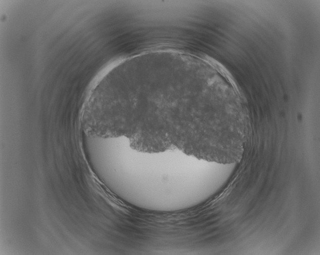 X0000067891435200605111839