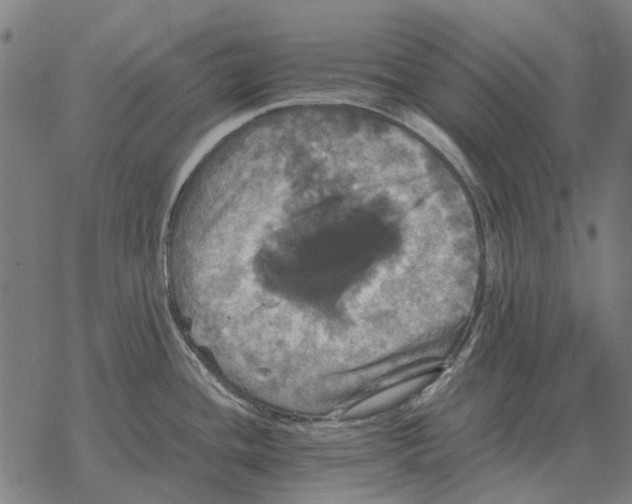 X0000067891436200605111839