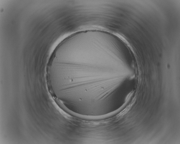 X0000067891438200605111839