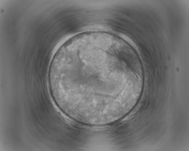 X0000067891440200605111839