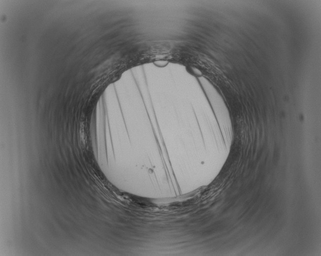 X0000067891442200605111839