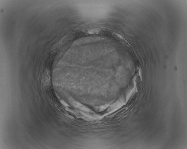 X0000067891443200605111839