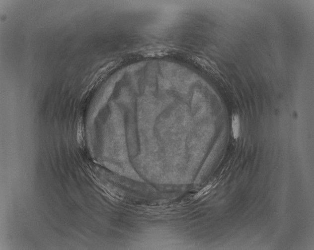 X0000067891444200605111839