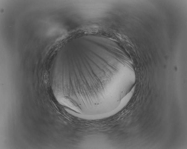 X0000067891445200605111839