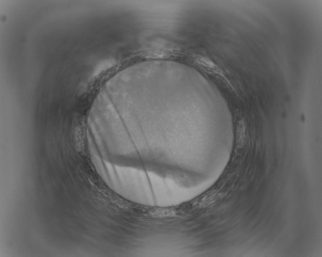 X0000067891446200605111839