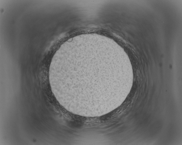 X0000067891447200605111839