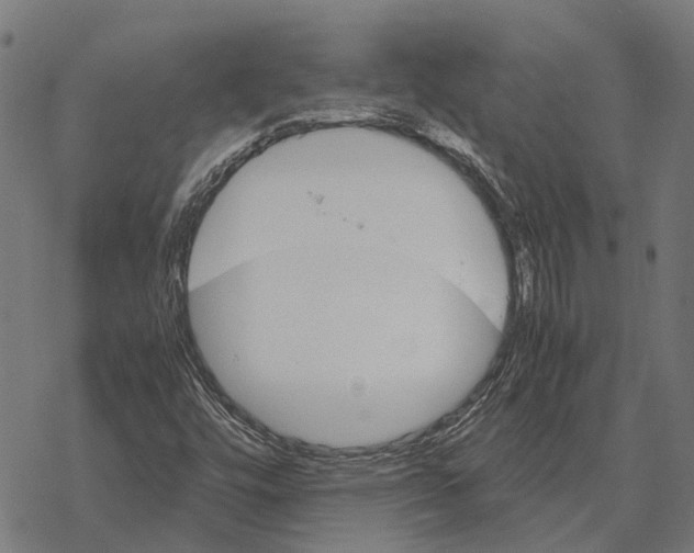 X0000067891448200605111839