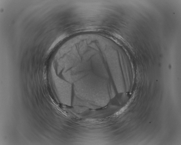 X0000067891450200605111839