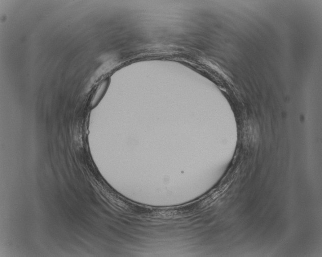 X0000067891451200605111839