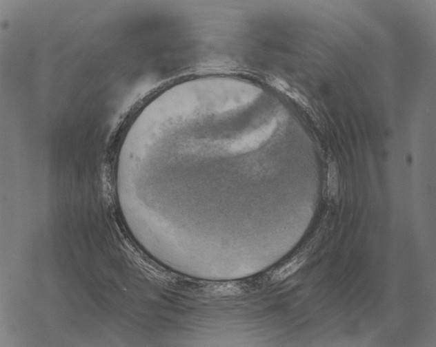 X0000067891454200605111838