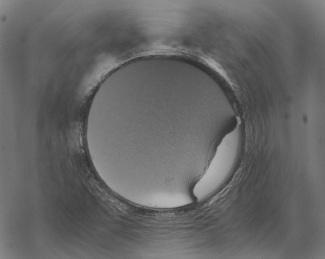 X0000067891455200605111838