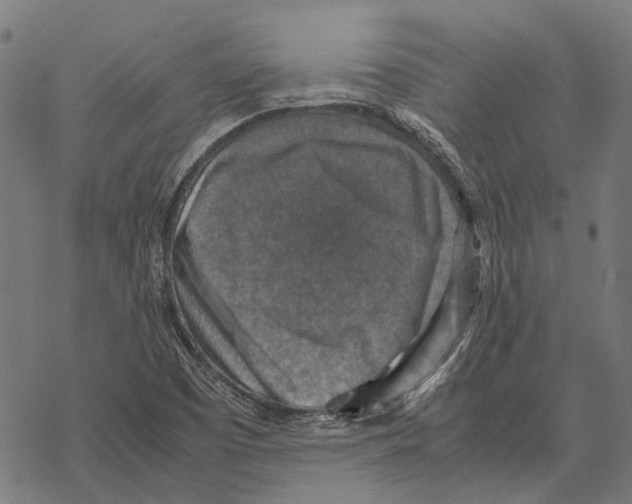 X0000067891457200605111838