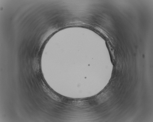 X0000067891458200605111838