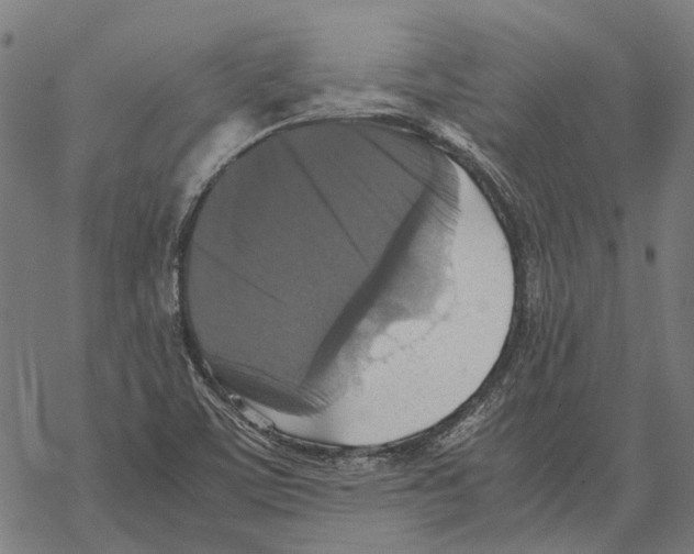 X0000067891459200605111838