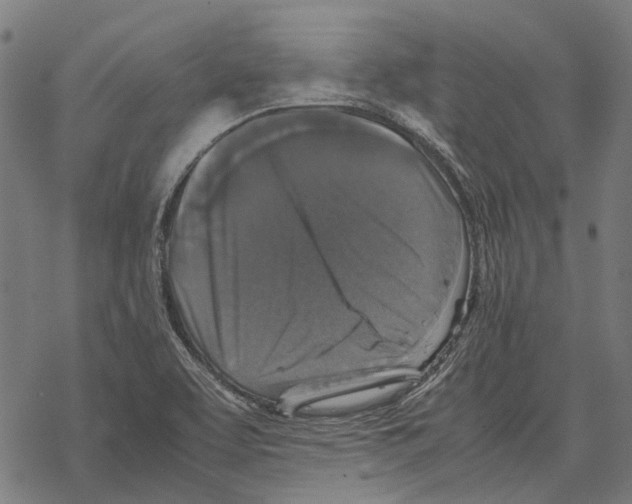 X0000067891463200605111838