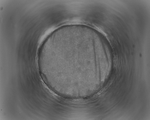 X0000067891464200605111838