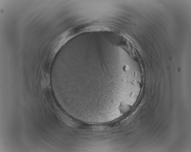 X0000067891465200605111838