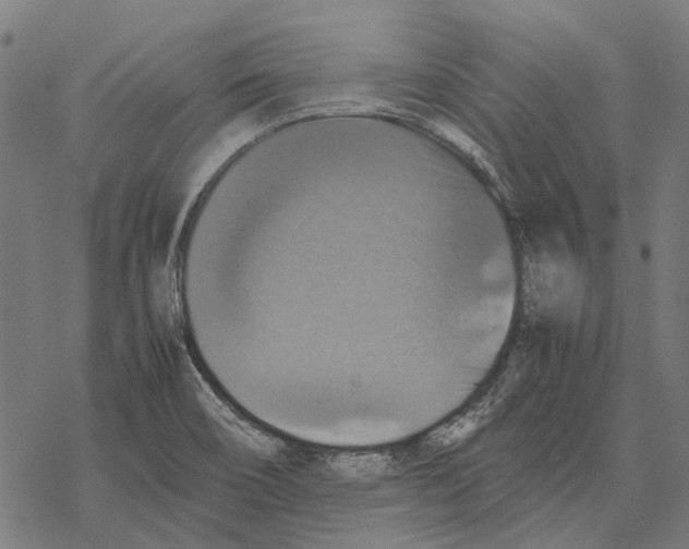 X0000067891466200605111838