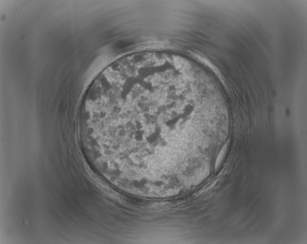 X0000067891467200605111838