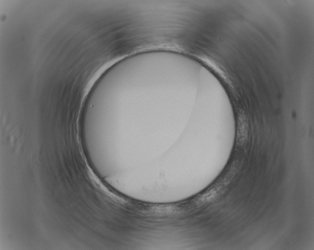 X0000067891468200605111838