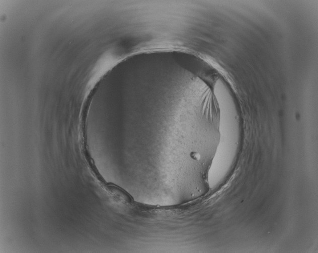 X0000067891469200605111838