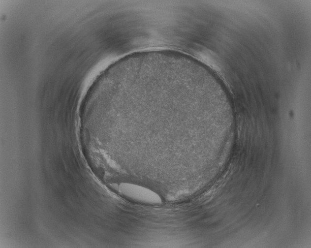 X0000067891472200605111838