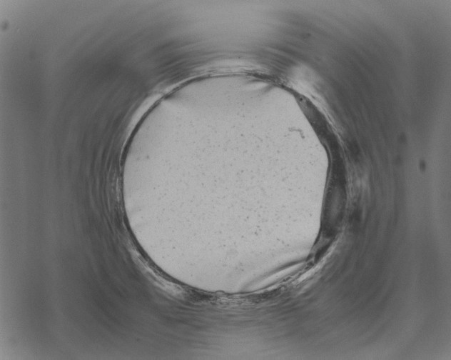 X0000067891473200605111838