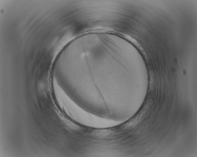 X0000067891474200605111838