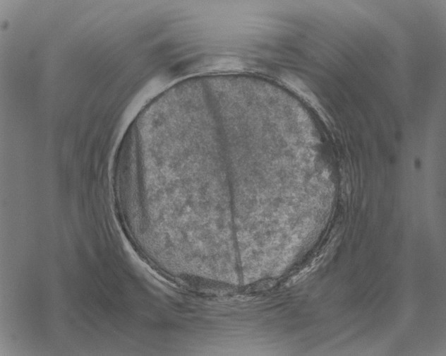 X0000067891475200605111838