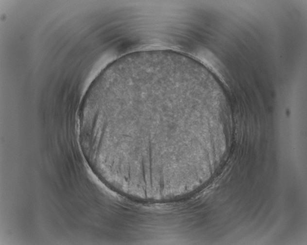 X0000067891476200605111838