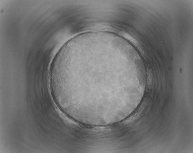 X0000067891478200605111838