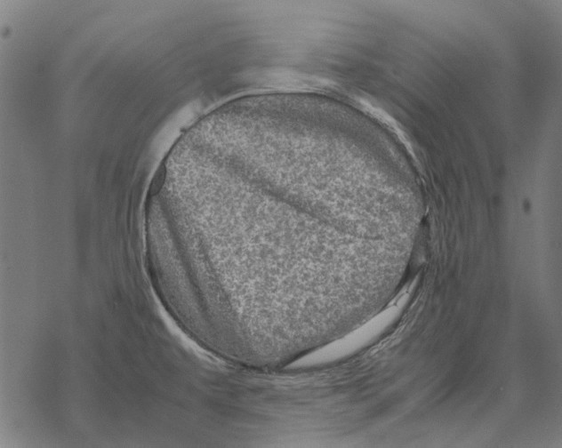 X0000067891479200605111838