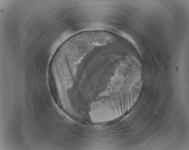 X0000067891480200605111838