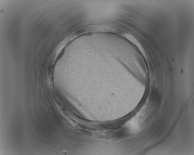 X0000067891481200605111838